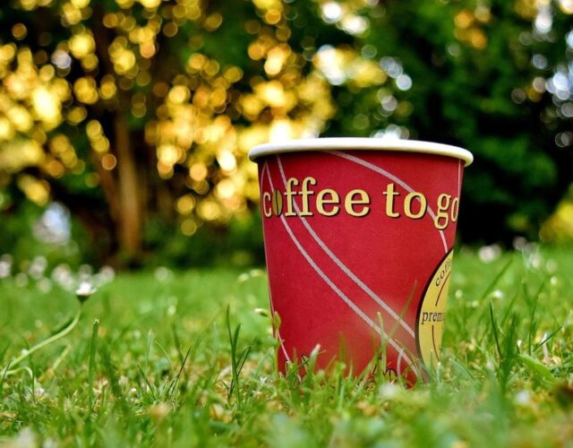 Quels_sont_les_avantages_pour_la_santé_et_l_environnement_des_gobelets_en_papier_biodégradables_?